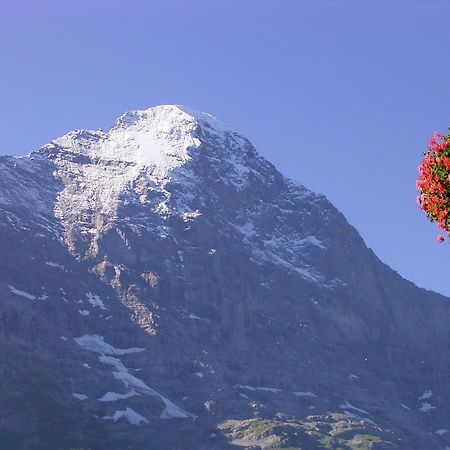 Hotel Bellary Grindelwald Zewnętrze zdjęcie